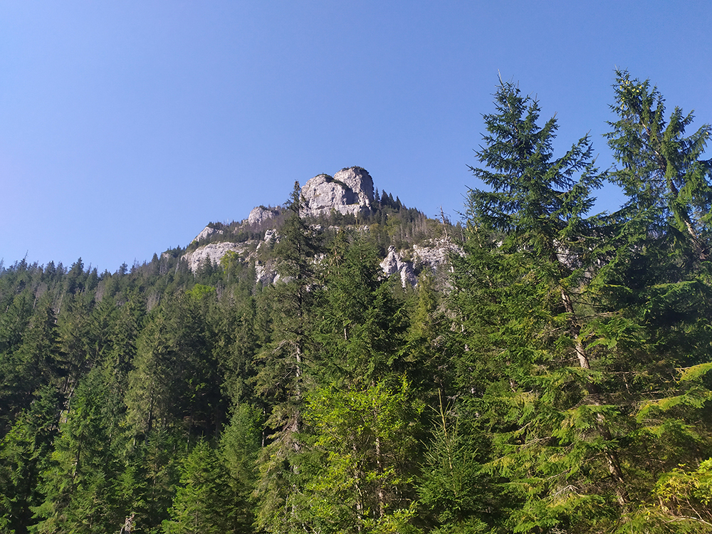 IMG 20200922 124805