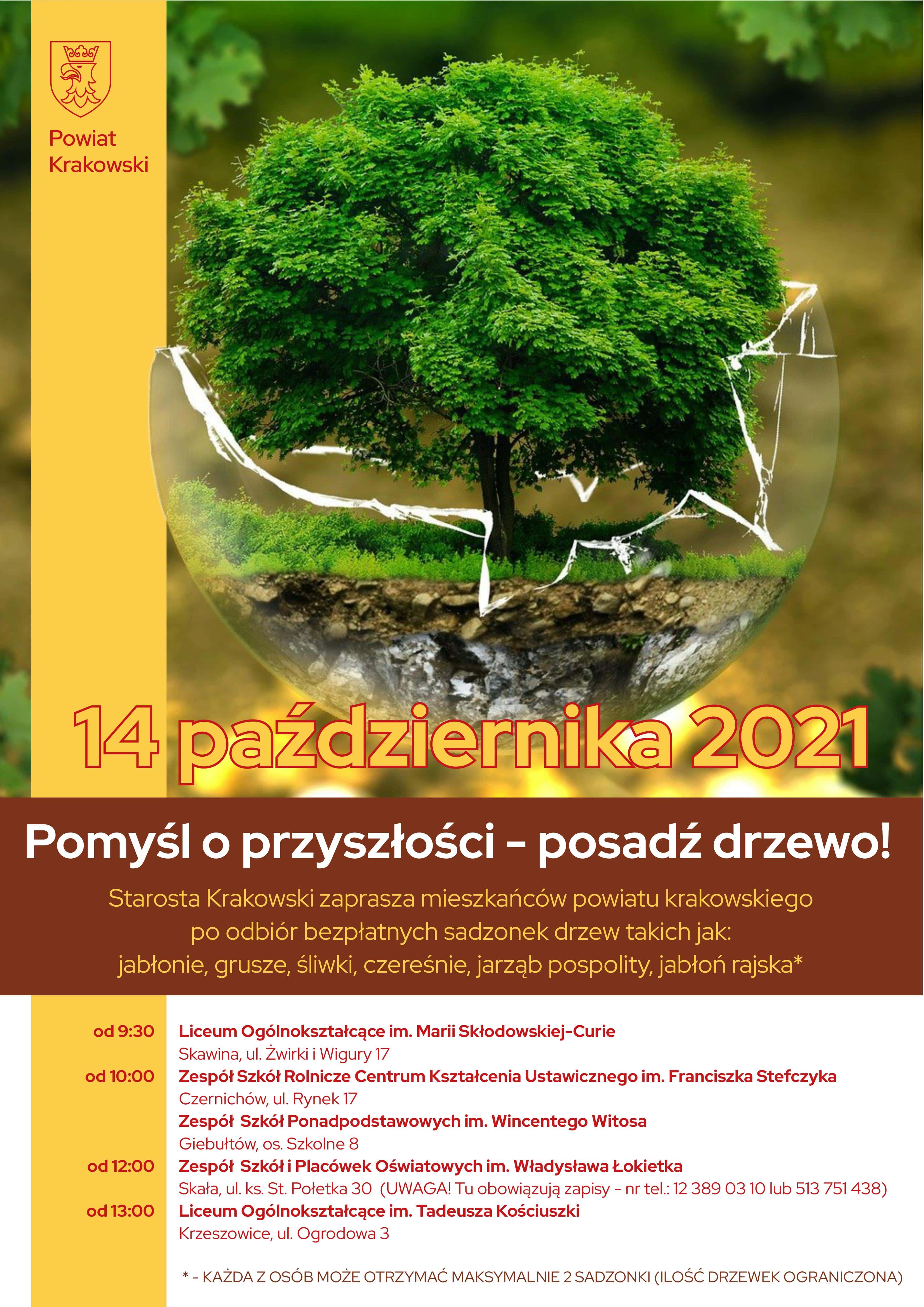 posadz drzewo min