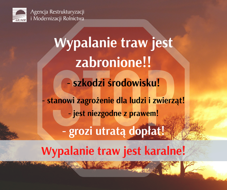 Wypalanie traw jest karalne!