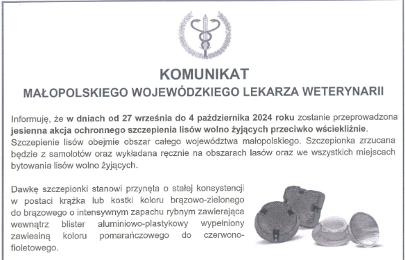 Jesienna akcja szczepienia lisów przeciwko wściekliźnie – zmiana terminu !