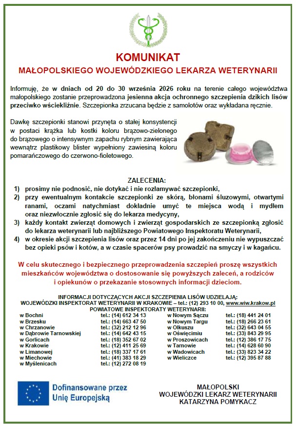 Akcja szczepienia lisów przeciwko wściekliźnie